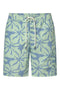 BADEHOSE BIQUE GRÜN