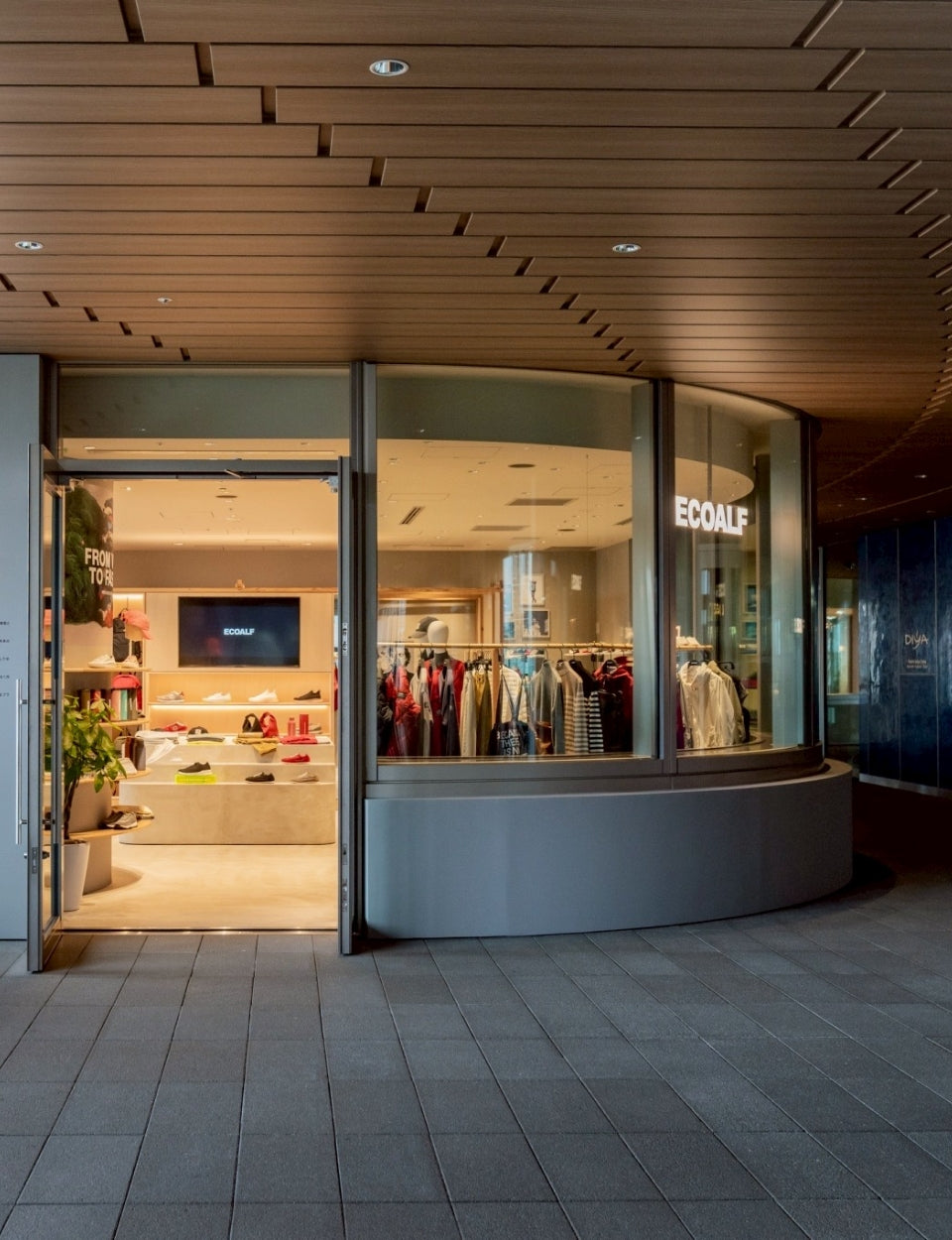 Entrada de una tienda Ecoalf moderna con techo de madera; por las puertas de vidrio se ve el interior iluminado con ropa y zapatos, y el logo "ECOALF" en la pared.