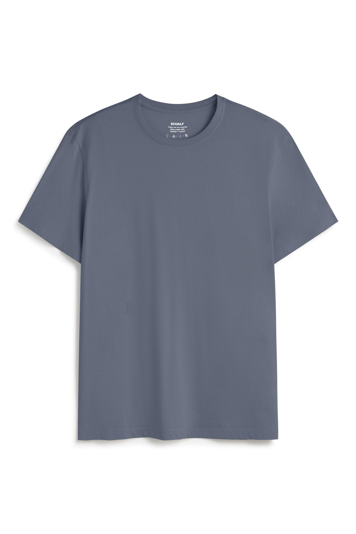 T-SHIRT CLIN GRIS