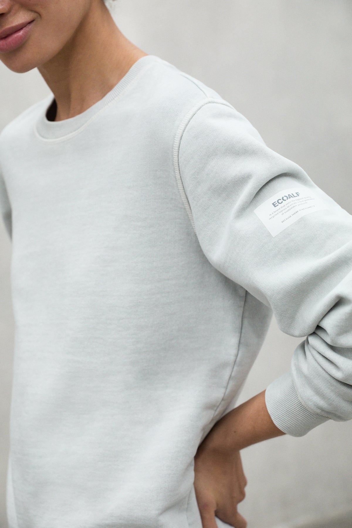 LIGHT GREY ARECIFE SWEATSHIRT