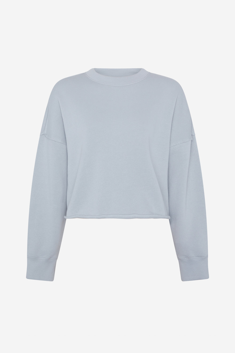 GREY SWEATSHIRT DELAN 